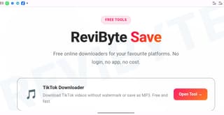 ReviByte Instagram Reels downloader interface