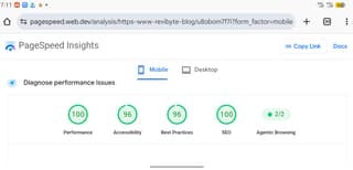 Screenshot of PageSpeed Insights showing a perfect 100 Performance score for ReviByte on mobile
