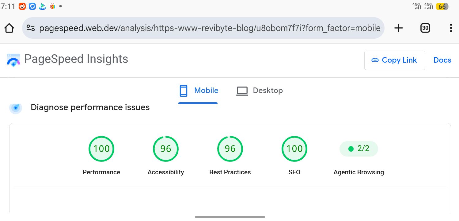 Screenshot of PageSpeed Insights showing a perfect 100 Performance score for ReviByte on mobile